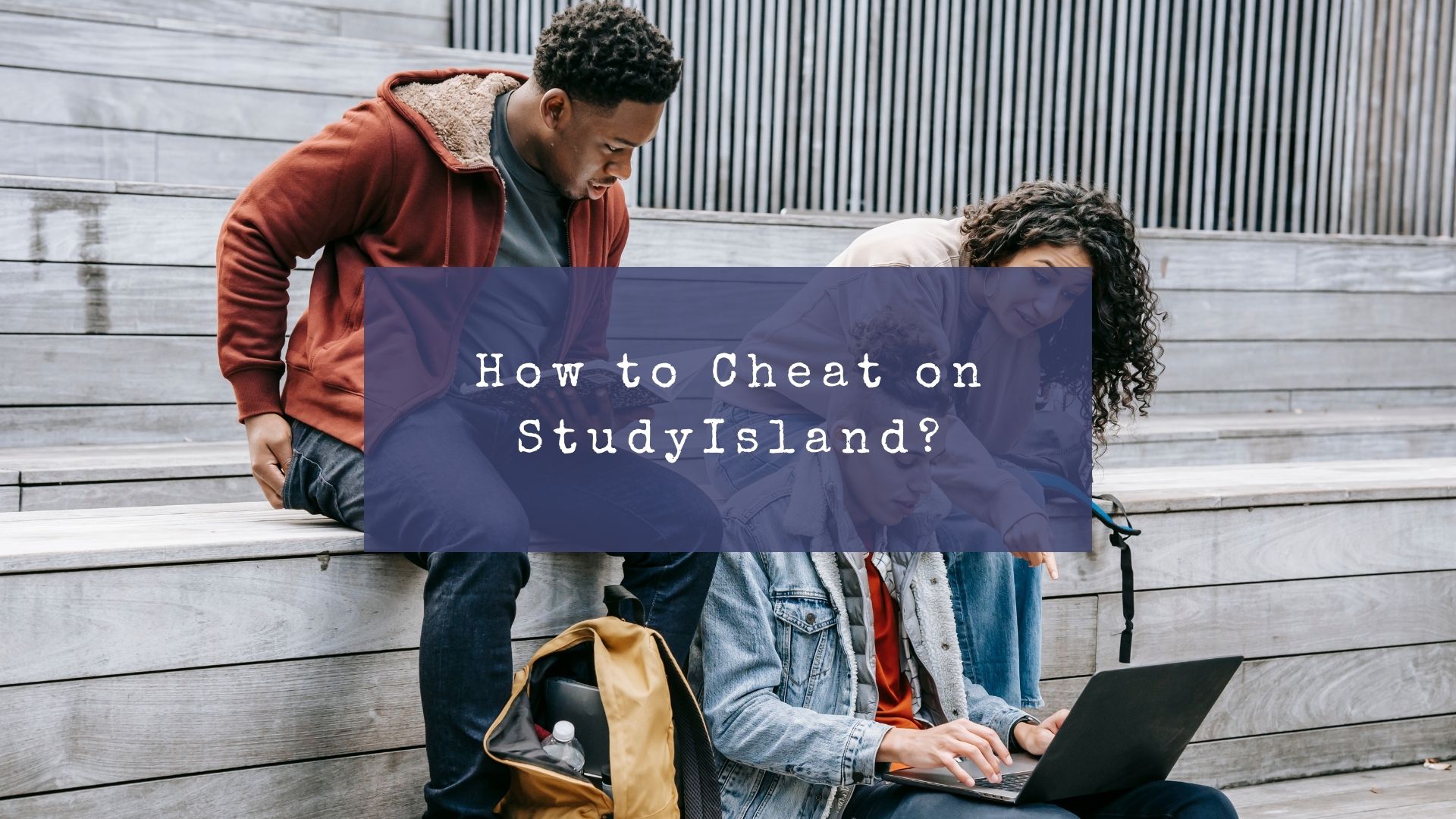 How to Cheat on StudyIsland